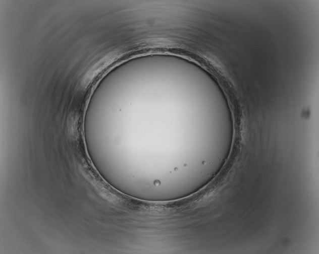 X0000116820873200912181406