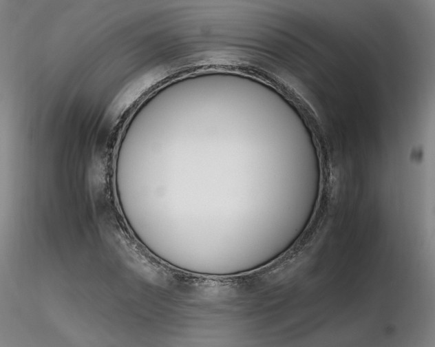 X0000116820874200912181406