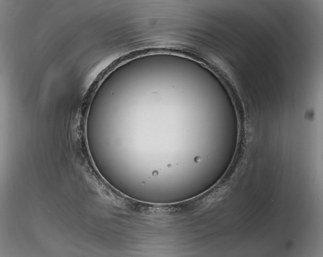 X0000116820875200912181406