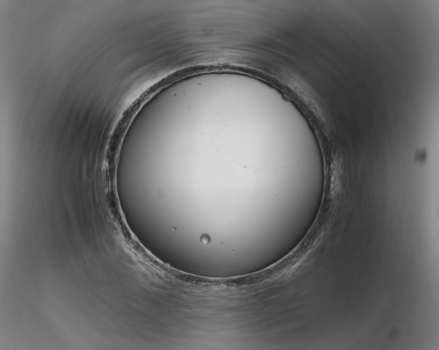 X0000116820876200912181406