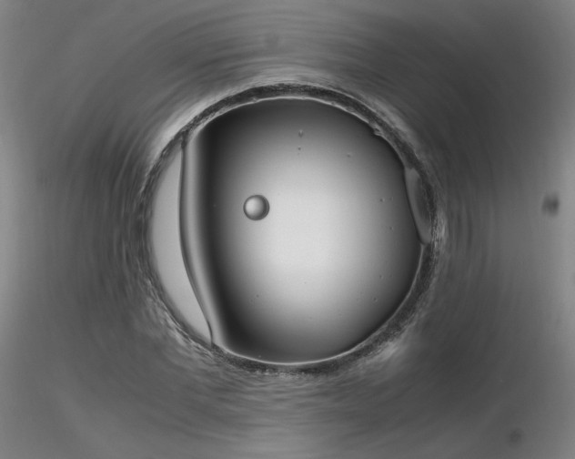 X0000116820877200912181406