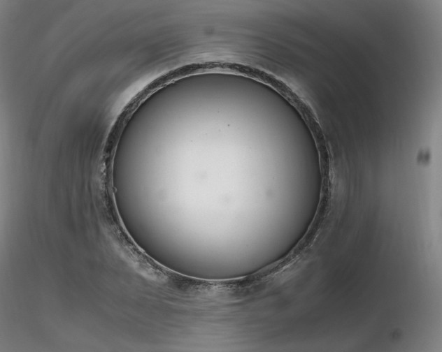 X0000116820879200912181406