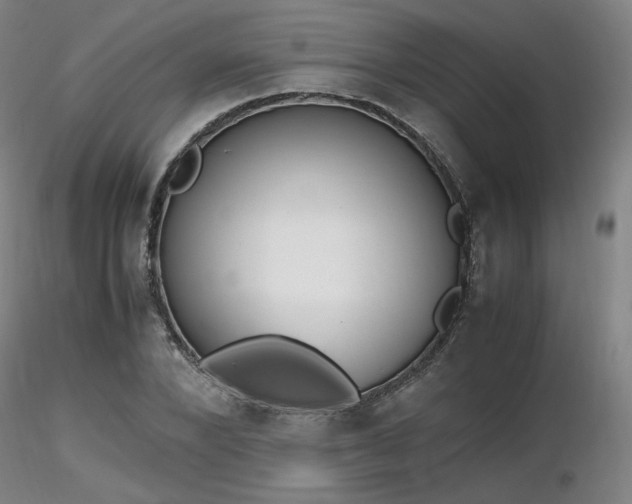 X0000116820880200912181406
