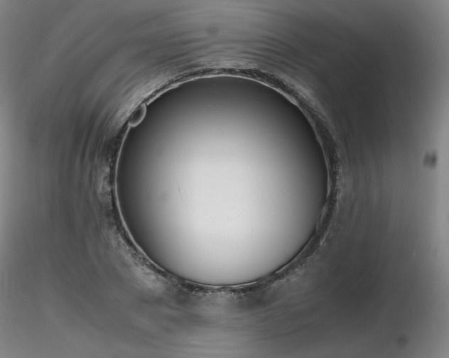 X0000116820881200912181406