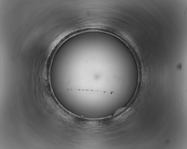 X0000116820883200912181406