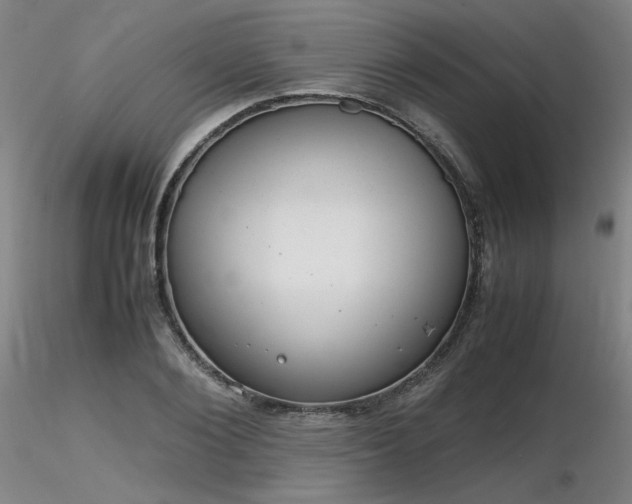 X0000116820884200912181405