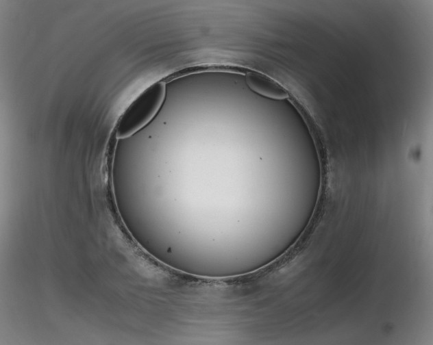 X0000116820885200912181405