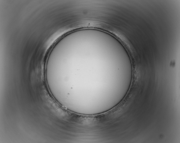 X0000116820886200912181405