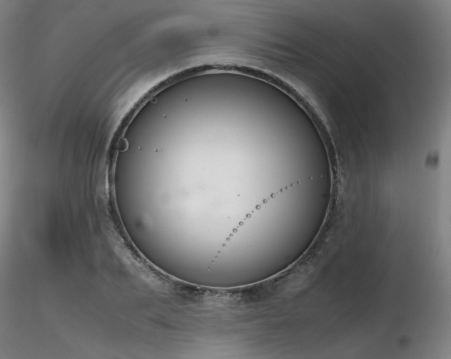 X0000116820887200912181405