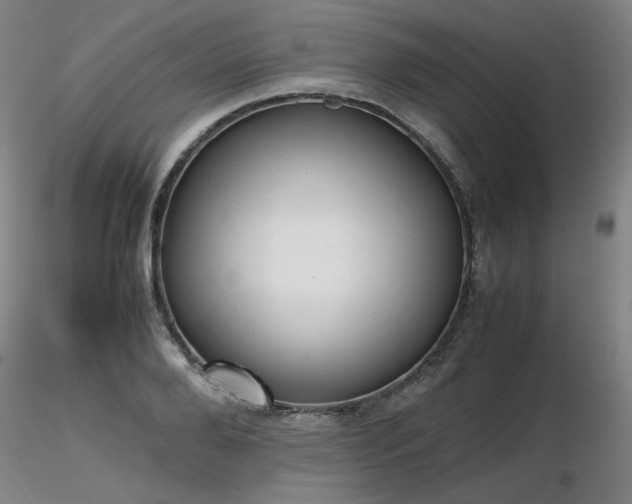 X0000116820888200912181405