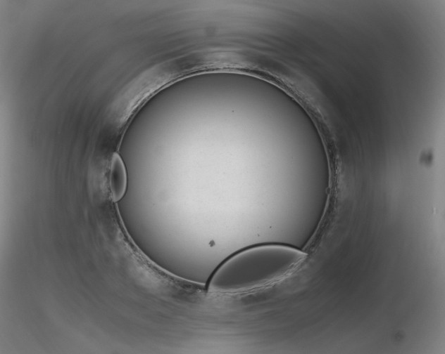 X0000116820889200912181405