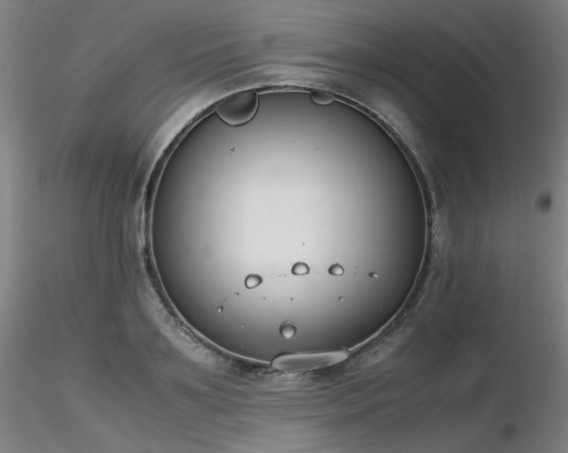 X0000116820891200912181405