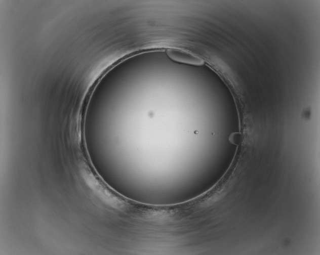 X0000116820892200912181405