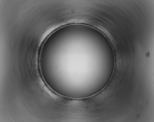 X0000116820894200912181405