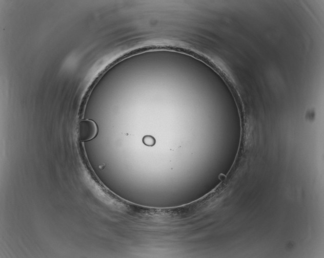 X0000116820895200912181405