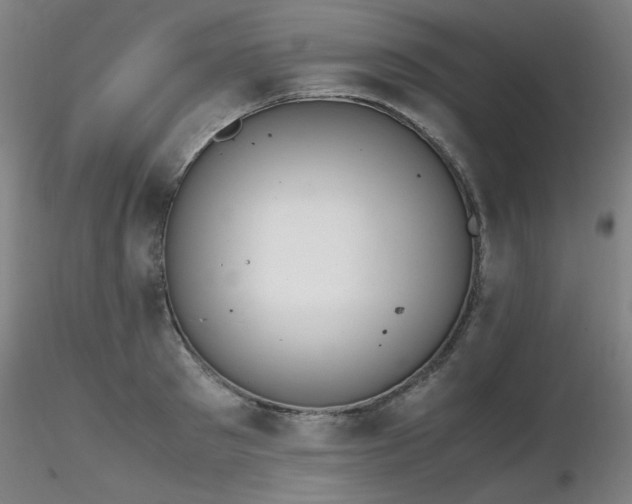 X0000116820897200912181405
