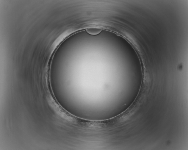 X0000116820899200912181405