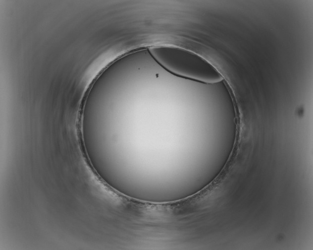 X0000116820901200912181405