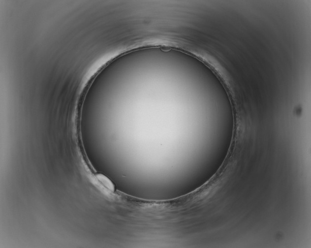 X0000116820902200912181405