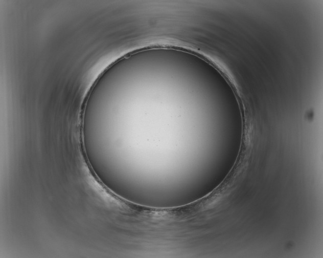 X0000116820903200912181405