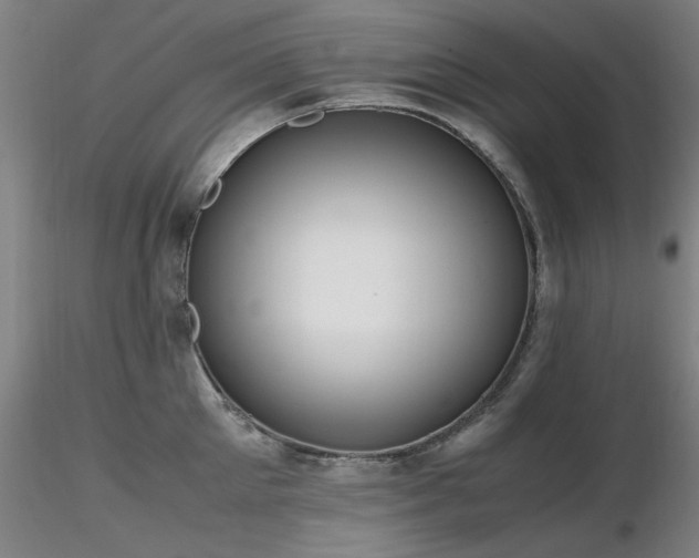 X0000116820905200912181405