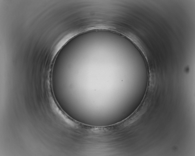 X0000116820906200912181405