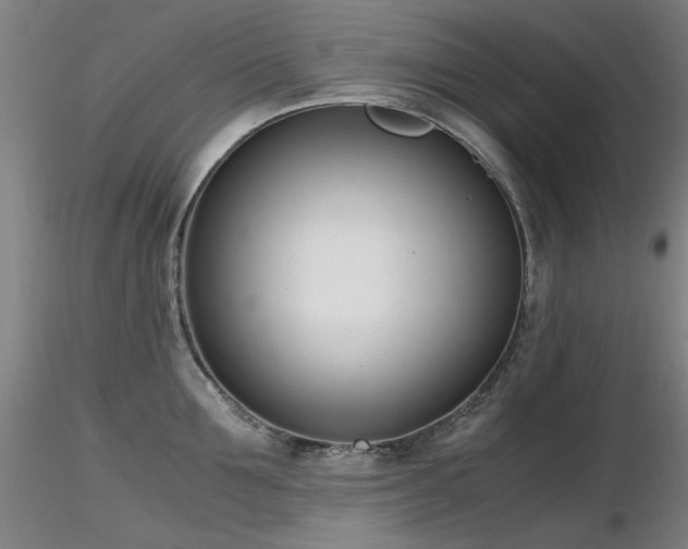 X0000116820907200912181405