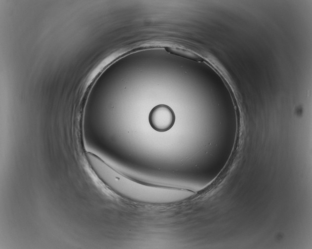 X0000116820909200912181405