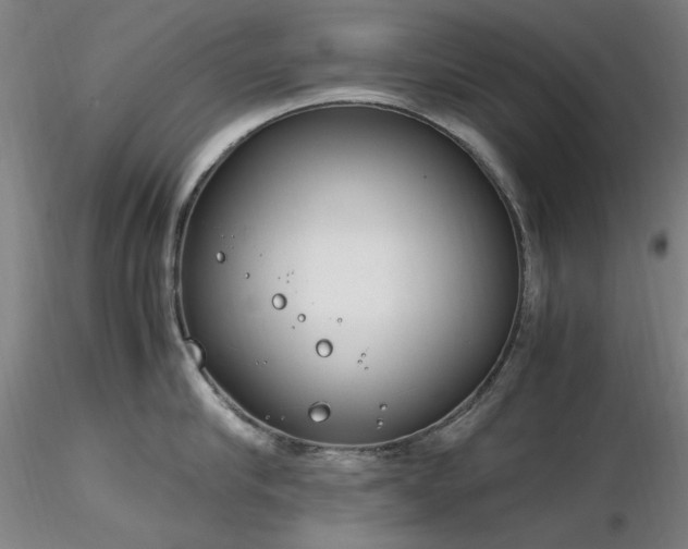 X0000116820910200912181405