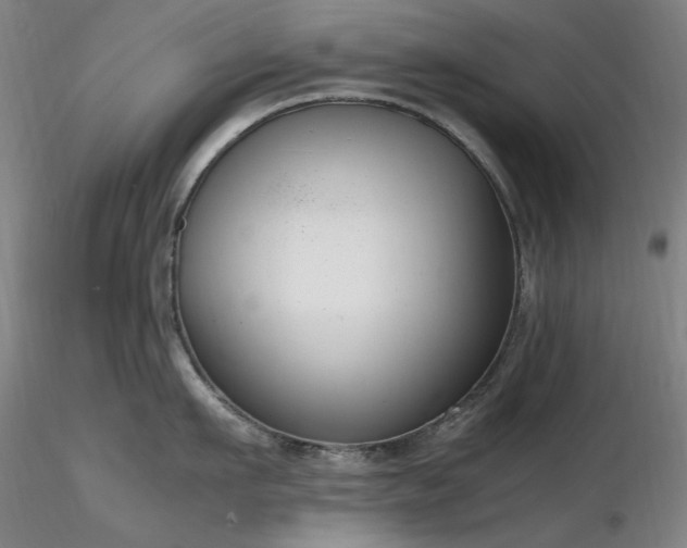 X0000116820911200912181405