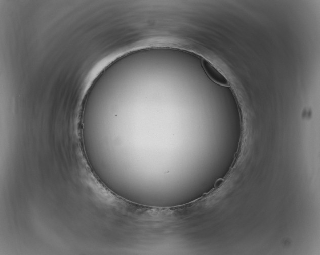X0000116820912200912181405