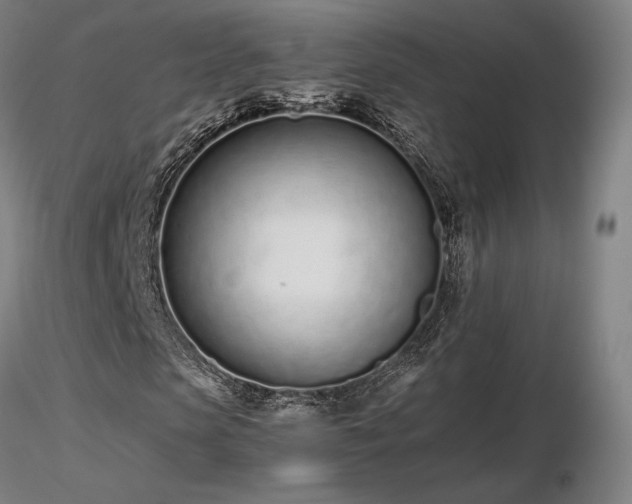 X0000116820913200912181404