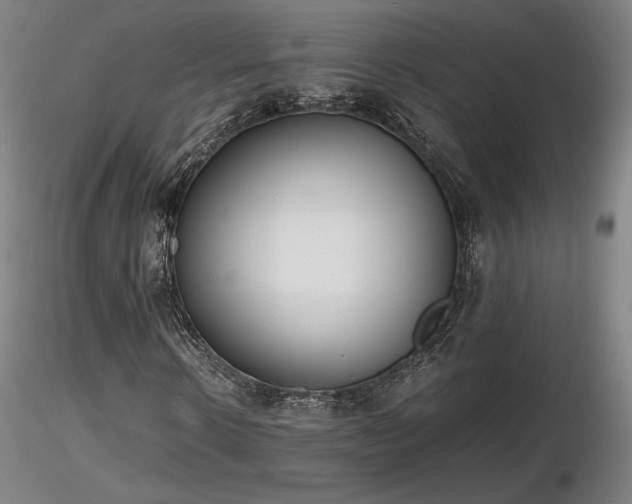 X0000116820914200912181404