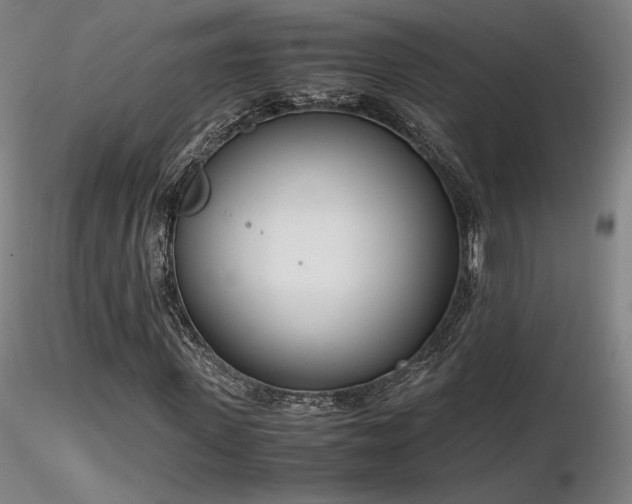 X0000116820915200912181404
