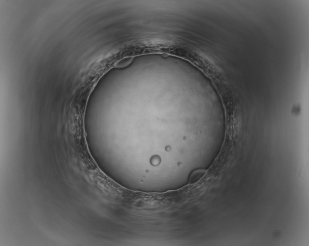 X0000116820917200912181404