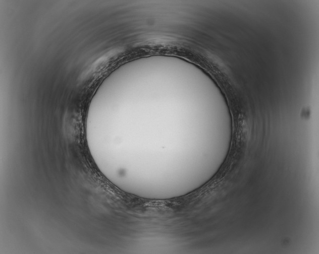 X0000116820918200912181404