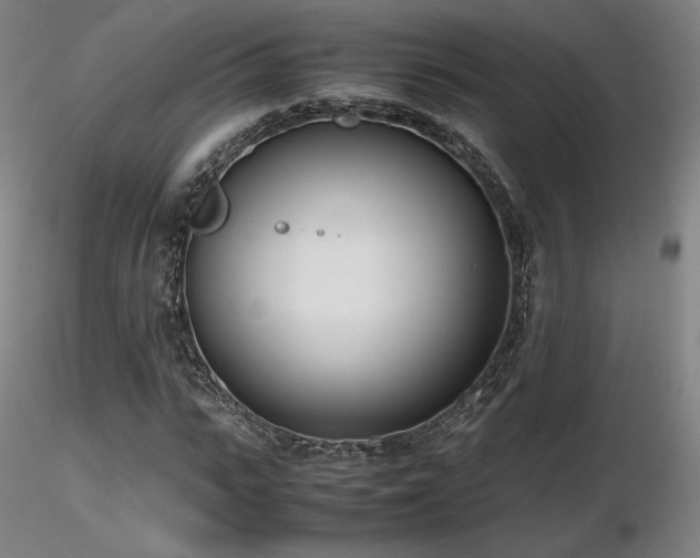 X0000116820919200912181404