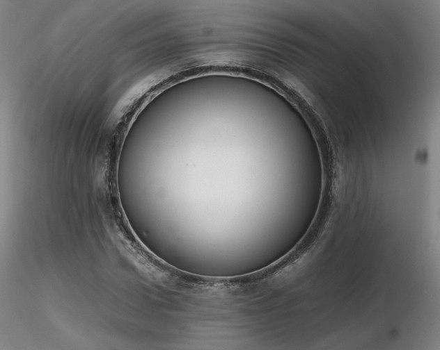 X0000116820922200912181404