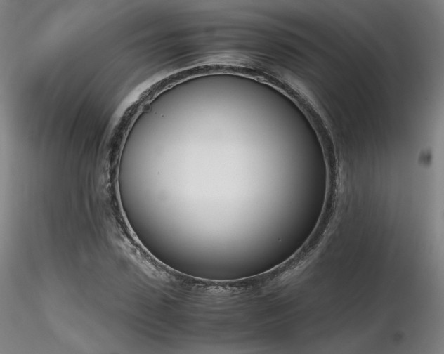 X0000116820923200912181404