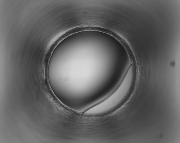 X0000116820925200912181404