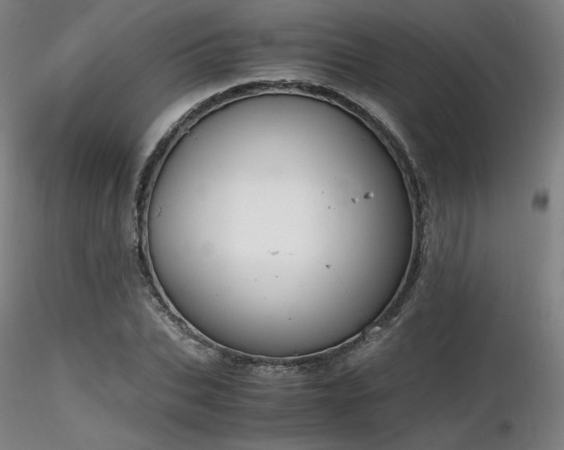 X0000116820927200912181405