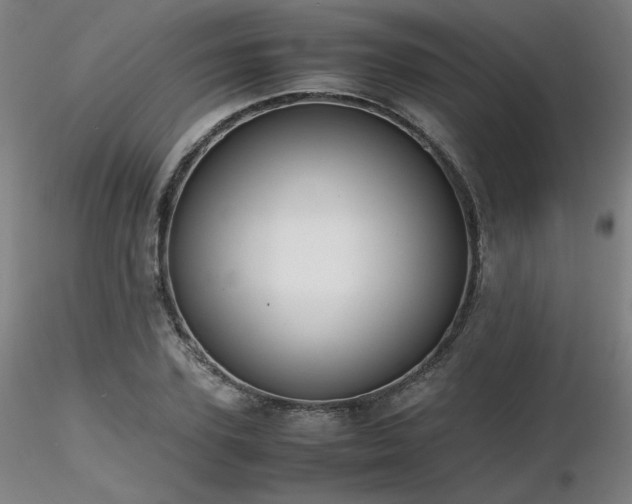 X0000116820931200912181405