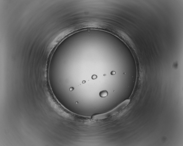 X0000116820938200912181405