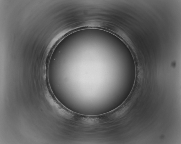 X0000116820939200912181405