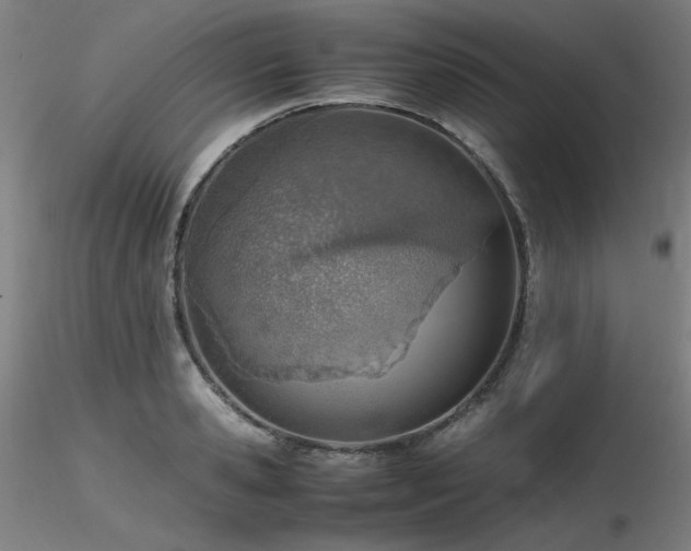 X0000116820941200912181405