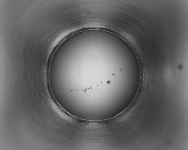 X0000116820942200912181405