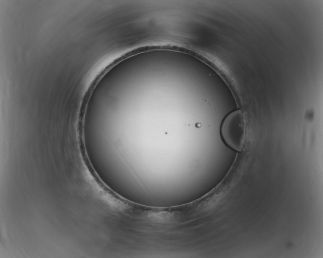X0000116820943200912181405