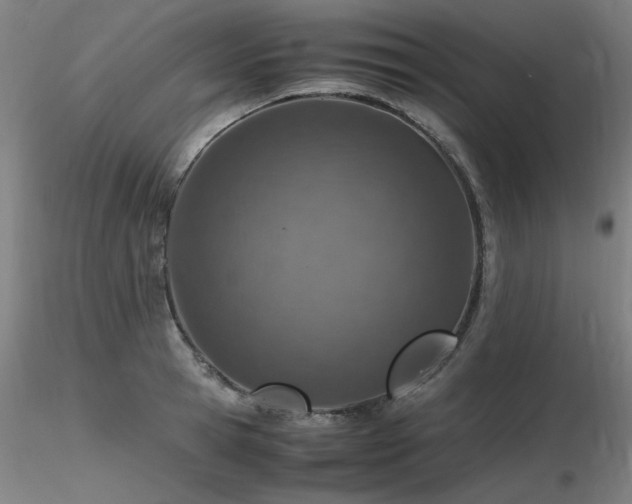X0000116820945200912181405