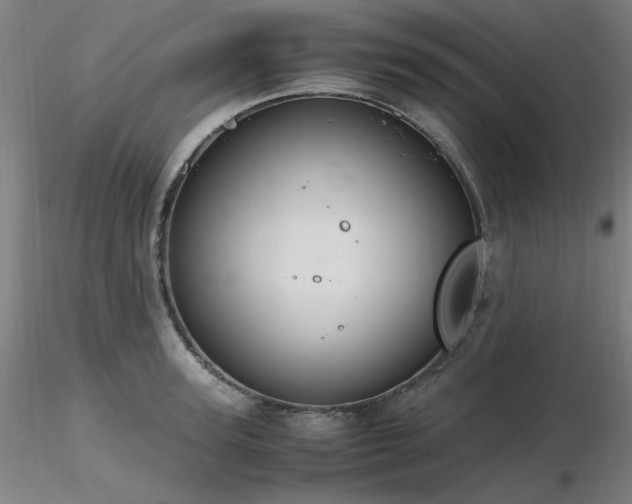 X0000116820947200912181405