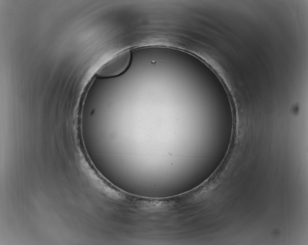 X0000116820949200912181405